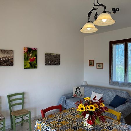 Agriturismo I Debbi 毕博纳 外观 照片