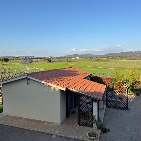 Agriturismo I Debbi 毕博纳 外观 照片