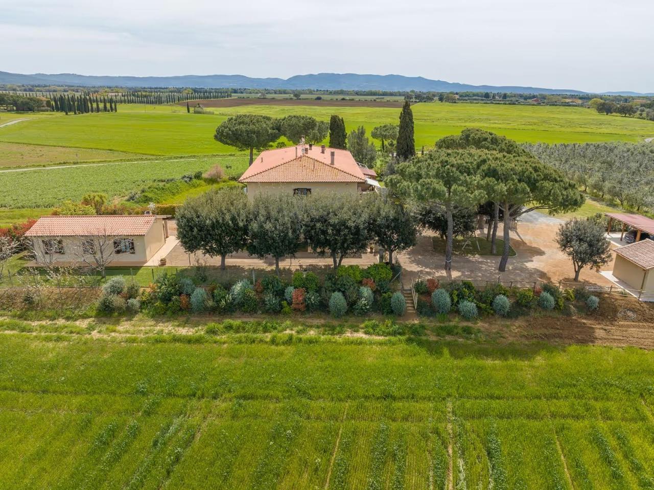 Agriturismo I Debbi 毕博纳 外观 照片