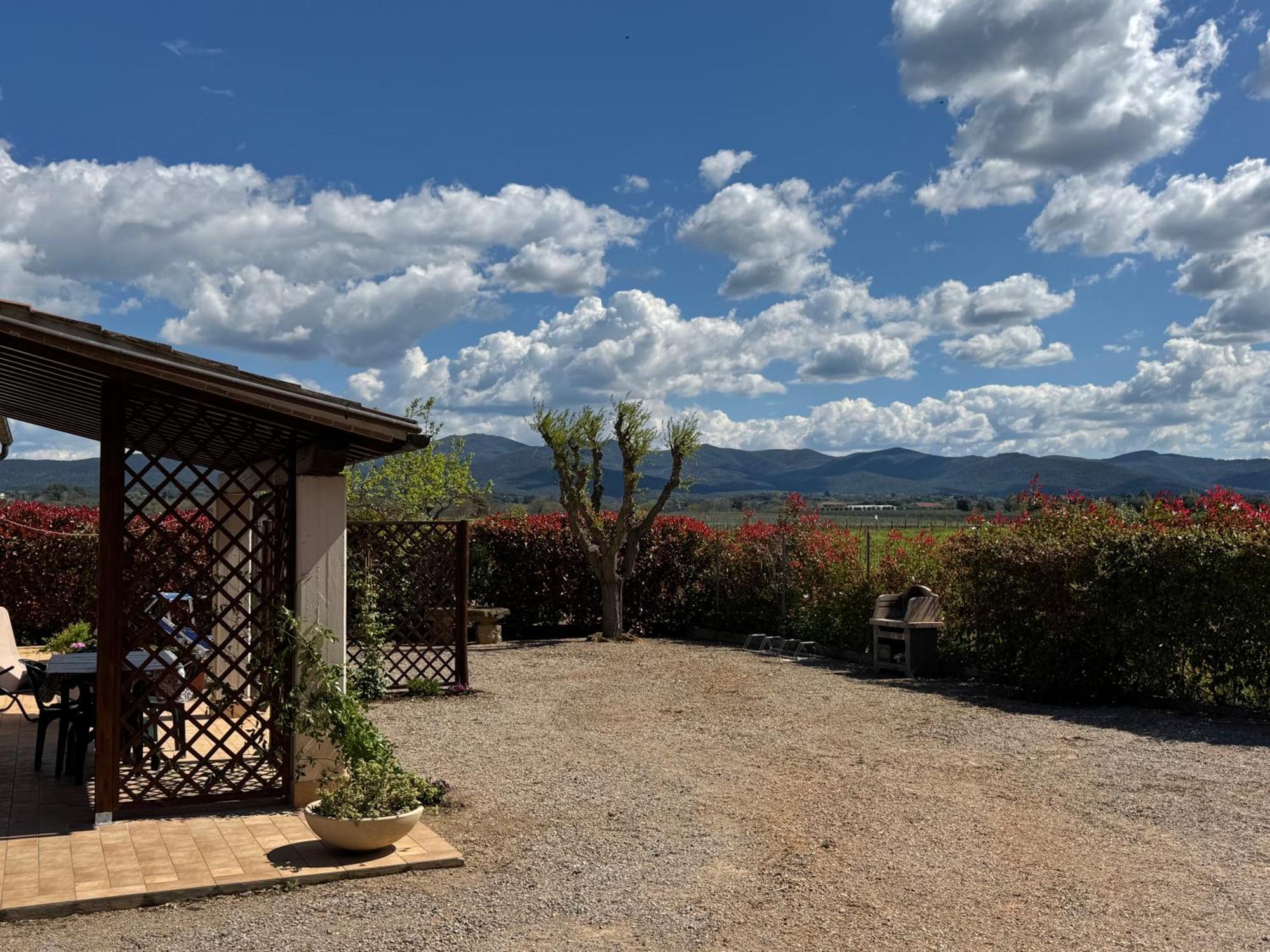 Agriturismo I Debbi 毕博纳 外观 照片